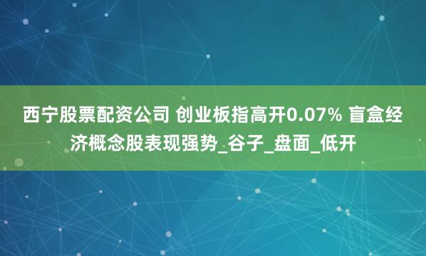 西宁股票配资公司 创业板指高开0.07% 盲盒经济概念股表现强势_谷子_盘面_低开