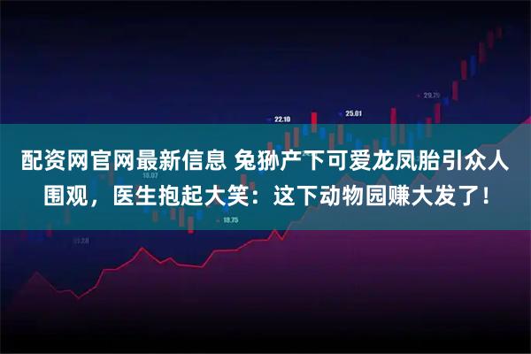 配资网官网最新信息 兔狲产下可爱龙凤胎引众人围观，医生抱起大笑：这下动物园赚大发了！
